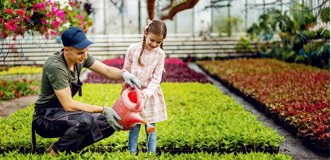 Top Plant Nurseries in Dubai